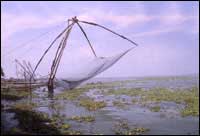 Travel through India with Royal Indian Holidays.   Vacations and Tours in the land of the Maharajas. The Temple trail of South India, Backwater cruises in Kerala on traditional houseboats or Kettuvallams, the golden beaches of Kovalam, Varkala and Cherai and the Romantic Hill  Station of Munnar are all unforgettable experiences.